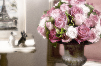 roses for all womans, still life, pink, white, roses, vase, beautiful HD wallpaper