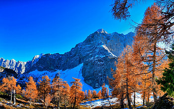 Winter, Nature, Trees, Grass, Sky, Mountains, View, Handsomely, It's Beautiful HD wallpaper