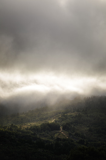 Landscape, Nature, Clouds, View From Above, Fog HD phone wallpaper