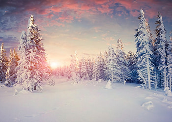 Sunrise In The Mountains, winter, landscape, sunrise, snow, clouds, trees, tracks, sky, mountains HD wallpaper