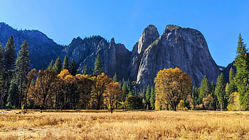 Cathedral Rocks and autumn colours - El Capitan Meadow, Yosemite, CA, fall, landscape, trees, colors, sky, usa HD wallpaper