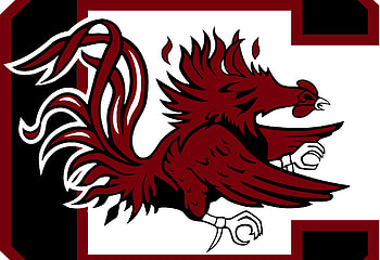 Gamecocks backgrounds, Posted , screens, Creative designs HD wallpaper