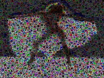 Shadow Dancer, curtains, shadow, dancer, flower HD wallpaper