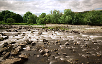 Nature, Trees, Stones, Mountain River HD wallpaper