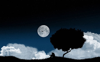 Sky, Night, Vector, Dark, Wood, Tree, Loneliness, Glade, Polyana HD wallpaper
