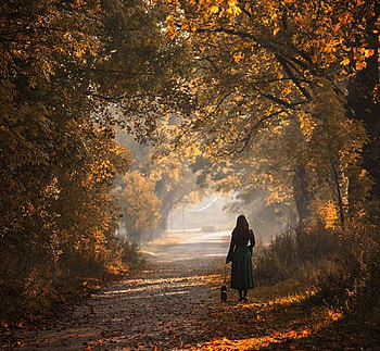 autumn walk, graphy, autumn, forests, nature, people HD wallpaper