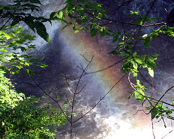 Gee Roy, Biv!, cool, pretty, wow, nice HD wallpaper