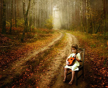 Music in the forest, sweet, fog, light, trees, guitar, cute, child HD wallpaper