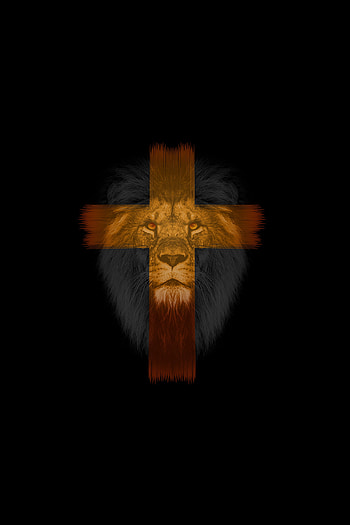 Animals, Dark, Muzzle, Lion, Cross HD phone wallpaper