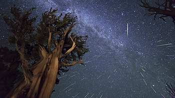 Preview meteors, perseids, bristlecone, meteor shower HD wallpaper