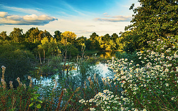 Autumn at Tiddenfoot Lake, Bedfordshire, UK, fall, landscape, clouds, trees, colors, sky, water, reflections HD wallpaper