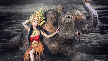 Elephant Princess, animal, crown, girl, graphy HD wallpaper