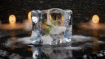 Frozen Crystal Cube — Ice, Ice Cube, Leaf HD wallpaper