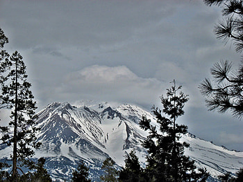 shasta mountain, trees, sky, snow, mountain HD wallpaper