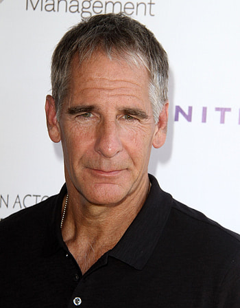 Scott Bakula, TV shows, NCIS Nouvelle Orleans, Femme de Scott HD phone wallpaper