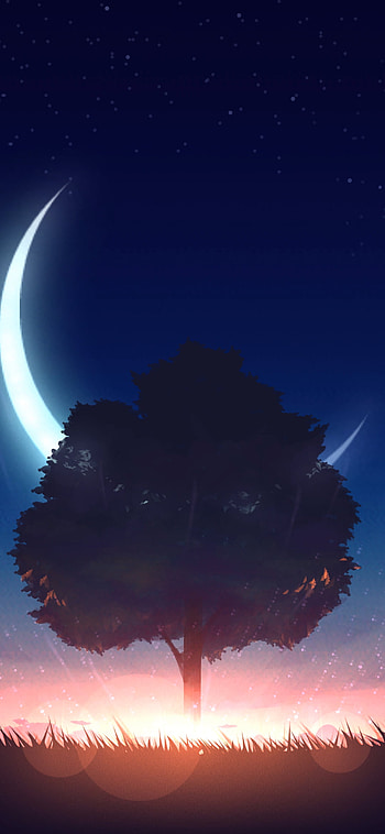 Morning HD phone wallpaper