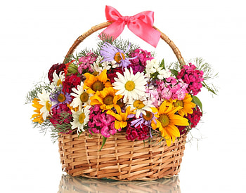 With Love, basket, bouquet, daisy, camomile, flowers, bow HD wallpaper