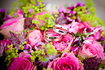 Close-up of elegant wedding rings nestled on a vibrant pink floral bouquet, symbolizing love and celebration. HD wallpaper