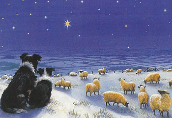 Christmas, winter, dog, blue, art, craciun, star, painting, snow, pictura, sheep, border collie, iarna HD wallpaper