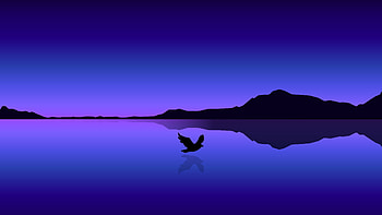 Bird Flying Over Ocean Minimal , bird, minimalism, minimalist, artist, artwork, digital-art HD wallpaper