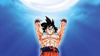 Dragon Ball Z Kamehameha Dragon ball z HD wallpaper