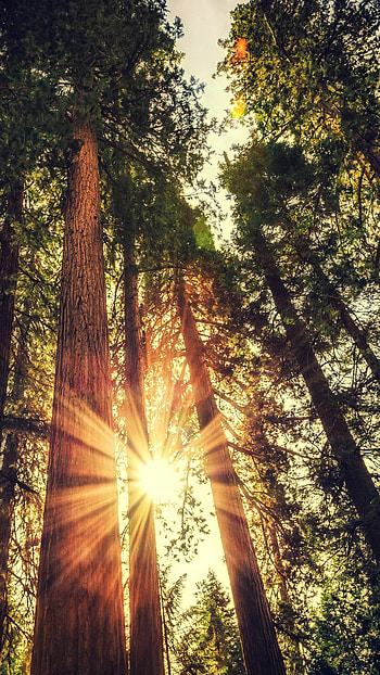 Breathtaking nature, Beautiful , Best backgrounds, Serene landscapes HD phone wallpaper