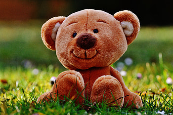 Grass, Teddy Bear, Miscellanea, Miscellaneous, Toy HD wallpaper