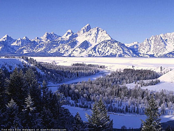 winter scenery, trees, nature, mountains, snow HD wallpaper