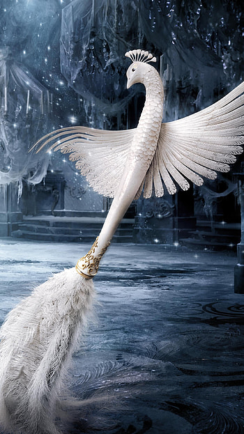 Beauty and the Beast (2022) movie HD phone wallpaper