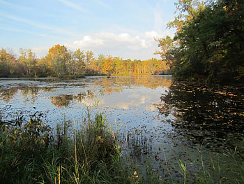 Groundwater, Crisis, Wisconsin, Towns HD wallpaper