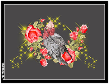 GALAH AND ROSES, ART, CREATION, ABSTRACT HD wallpaper
