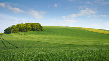 Field Meadow Hill Sky Minimalism HD wallpaper