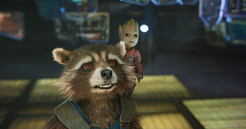 Rocket raccoon, , Marvel character, Background HD wallpaper