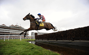 Jump racing, Equestrian Sports HD wallpaper