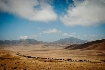 Tanzania, Ngorongoro Crater Highlands HD wallpaper