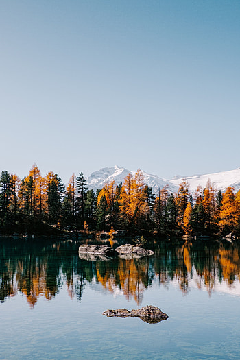 Landscape, Nature, Trees, Stones, Mountains, Lake HD phone wallpaper