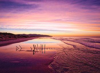 Dunedin Sunrise, sunrise, nature HD wallpaper
