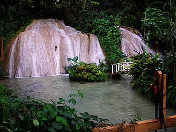 Tropical Waterfall, plants, water, cascade, park HD wallpaper