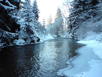 Winter, snow, nature, lake, tree HD wallpaper