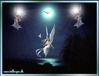 Heavenly Angels, night, peaceful, water, moonlight HD wallpaper