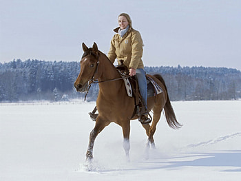 Cowgirl, winter, style, model, rodeo, saddles, beautiful, cowgirls, fashion, horses, outdoors, pretty, girls, women, western, female HD wallpaper
