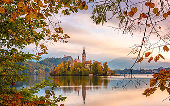 Lake Bled in Slovenia, Bled, church, Slovenia, lake, island HD wallpaper