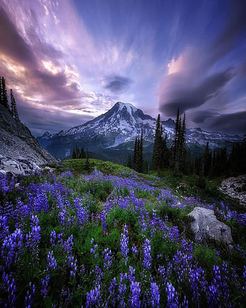PNW, cloud, sky HD phone wallpaper