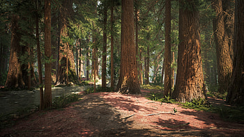 UE4 redwood forest, Virtual reality escapade, Digital wanderlust, Immersive experience HD wallpaper