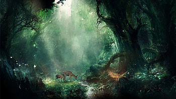 Fantasy (81 ) HD wallpaper