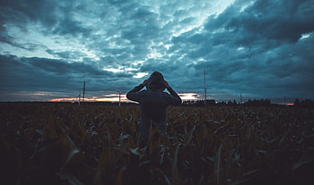 Twilight, Dark, Silhouette, Miscellanea, Miscellaneous, Field, Dusk, Evening HD wallpaper