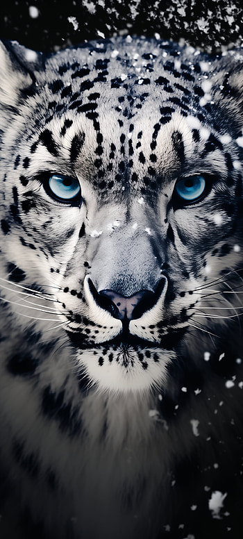 Majestic Snow Leopard Eyes , Animal, snow leopard HD phone wallpaper