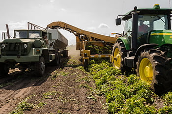 A tractor and truck collaborate in harvesting crops on a sunny farm field. HD wallpaper