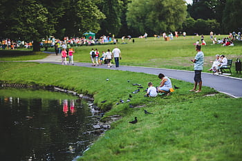 A tranquil summer day in a park with families enjoying leisure activities by a pond. HD wallpaper