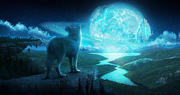 Wolf backgrounds, Nature's wonders, Dynamic wilderness, Symbol of dom HD wallpaper